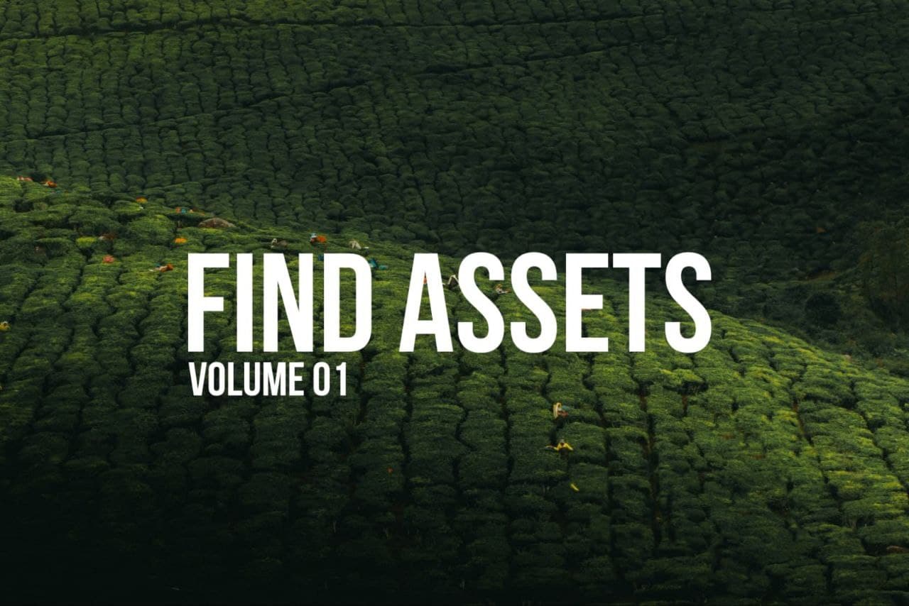 ASSETS