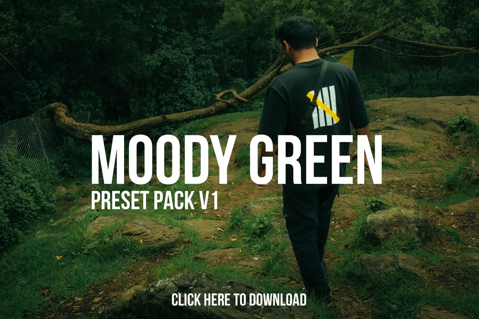 Moody Green